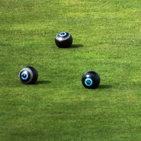 bowls-on-grass-game