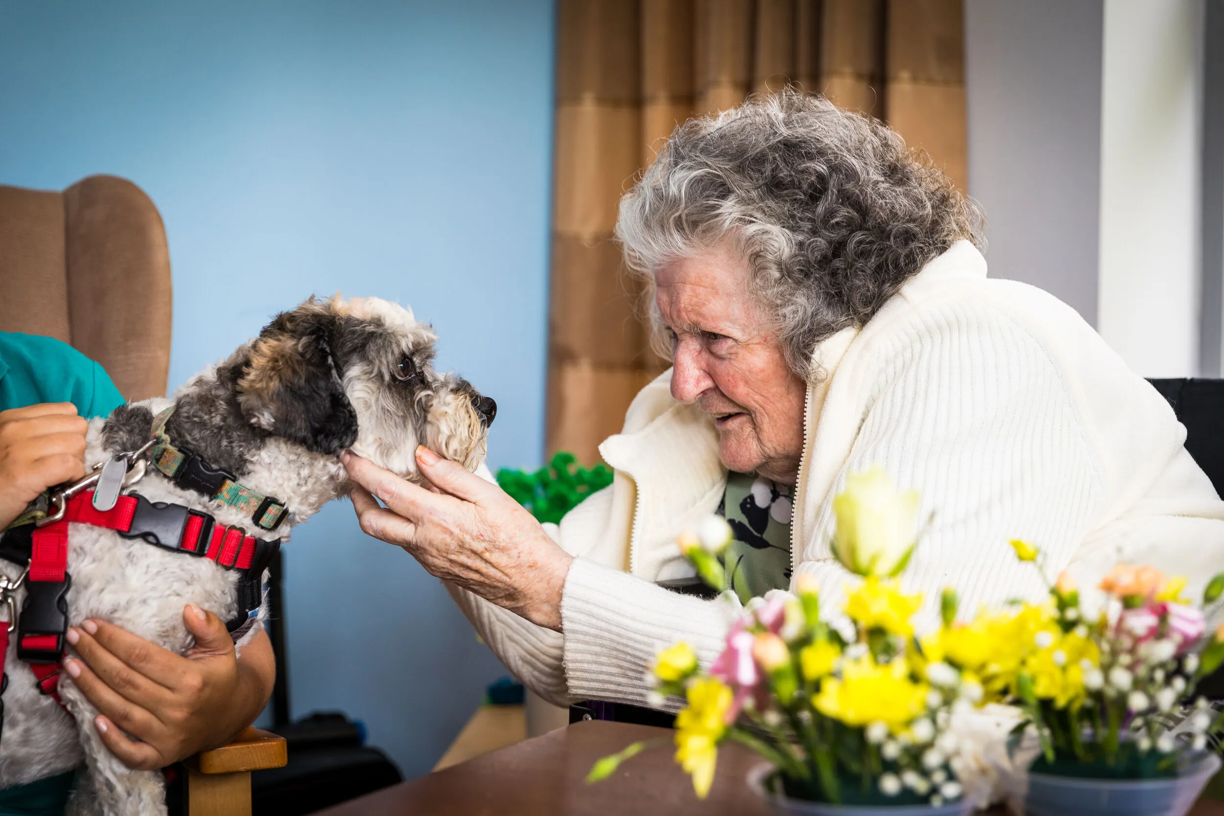 Barty-activities-dog-therapy